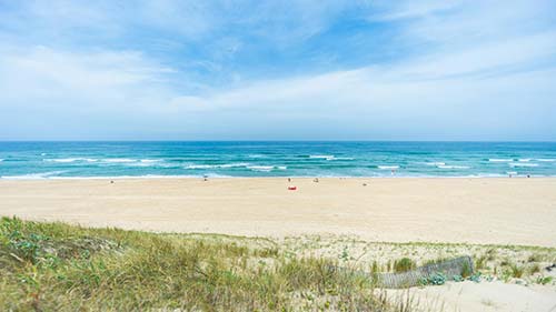 Le territoire Côte Landes Nature