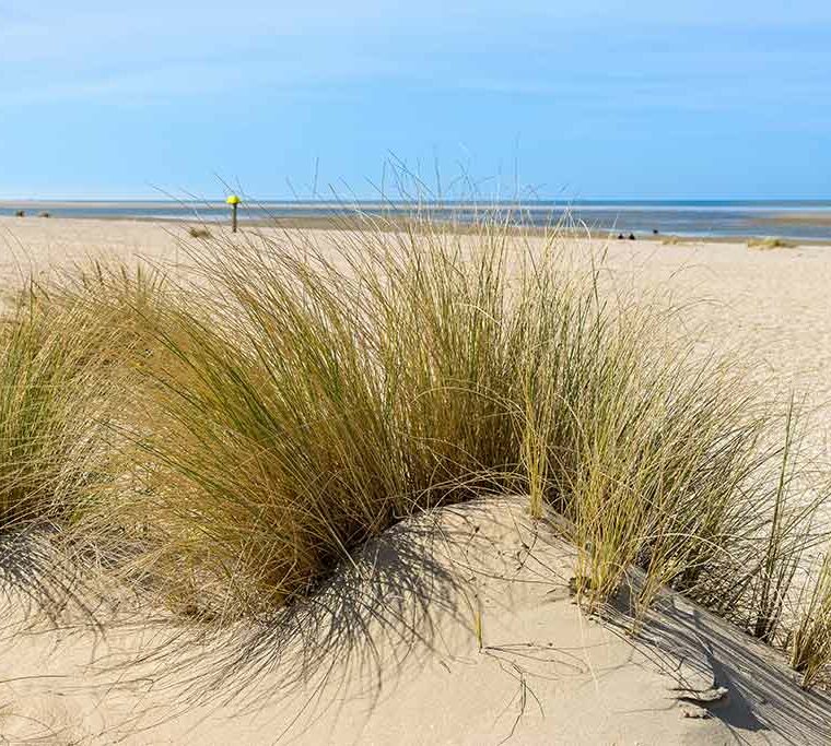 La Communauté de Communes Côte Landes Nature