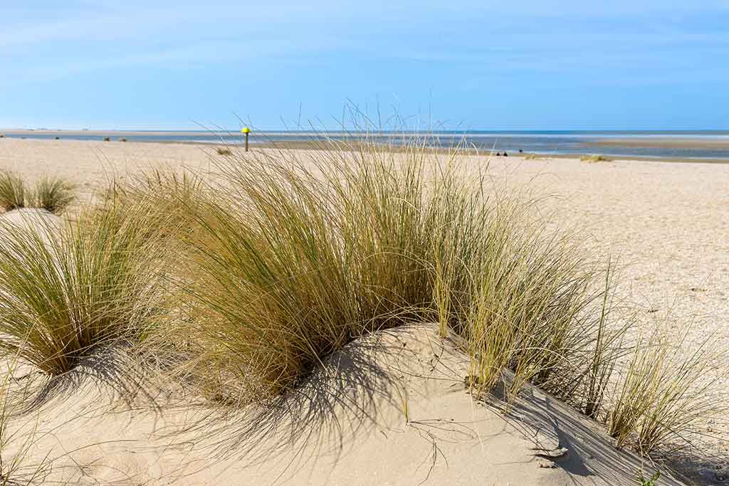 La Communauté de Communes Côte Landes Nature